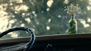 Zasłona do filmu "Do ostatniej kości" #811181