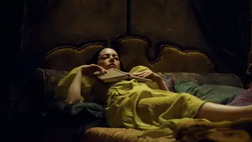 Zasłona do filmu "Biedne istoty" #584088