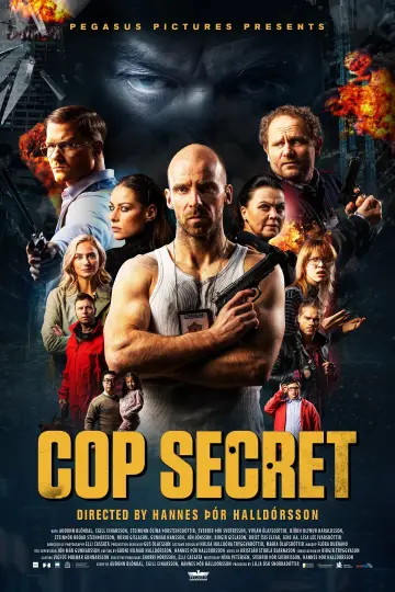 Plakat do filmu "Leynilögga" #113020