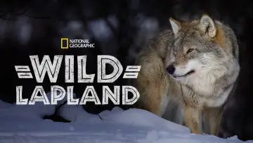 Zasłona do filmu "Wild Lapland" #1658245