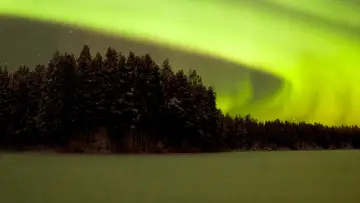 Zasłona do filmu "Wild Lapland" #1658248