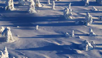Zasłona do filmu "Wild Lapland" #1658249