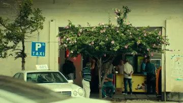 Zasłona do filmu "Co widzimy, patrząc w niebo?" #1851713