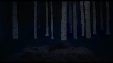 Zasłona do filmu "Bo się boi" #697848