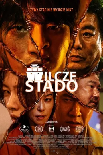 Wilcze Stado