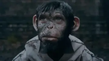 Zasłona do filmu "Better Man: Niesamowity Robbie Williams" #575370