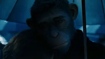 Zasłona do filmu "Better Man: Niesamowity Robbie Williams" #575384