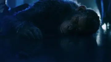 Zasłona do filmu "Better Man: Niesamowity Robbie Williams" #575448