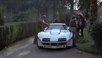 Zasłona do filmu "Mad Foxes - Feuer auf Räder" #966450