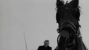 Zasłona do filmu "Koń turyński" #1632940