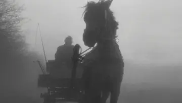 Zasłona do filmu "Koń turyński" #1632941