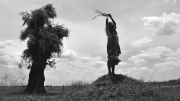 Zasłona do filmu "Koń turyński" #201325