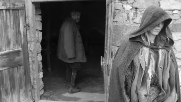Zasłona do filmu "Koń turyński" #201326