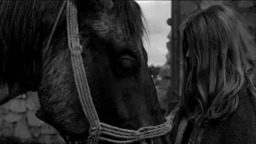 Zasłona do filmu "Koń turyński" #985211