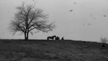 Zasłona do filmu "Koń turyński" #985215