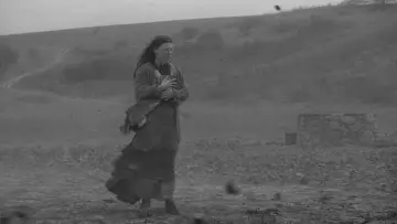 Zasłona do filmu "Koń turyński" #985216
