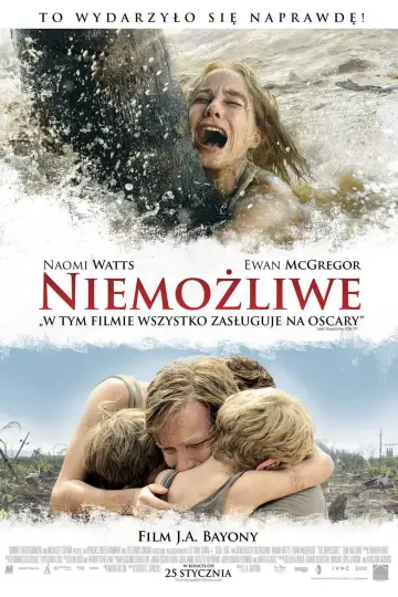 Plakat do filmu "Niemożliwe" #646871