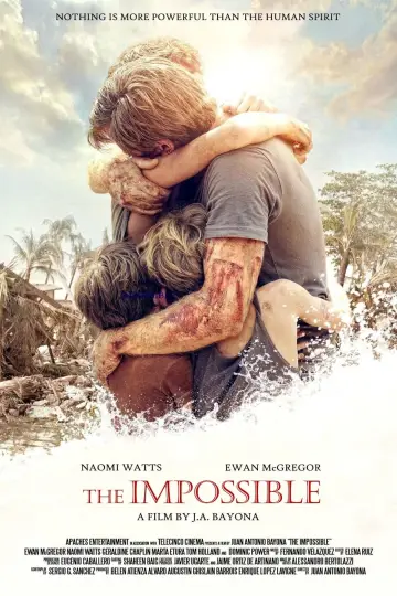 Plakat do filmu "Niemożliwe" #85711
