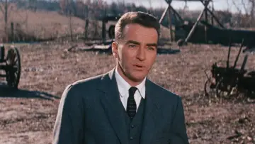 Zasłona do filmu "Dzika rzeka" #462419