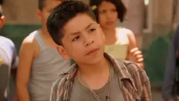 Zasłona do filmu "Dorwać Gringo" #280394