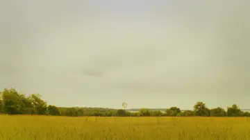 Zasłona do filmu "Kochankowie z księżyca" #201681