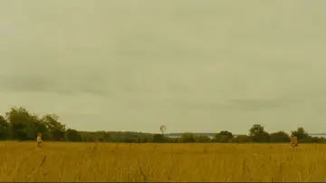 Zasłona do filmu "Kochankowie z księżyca" #719525