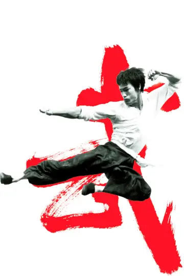 Plakat do filmu "Bruce Lee - to ja" #506149