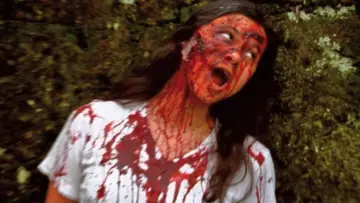 Zasłona do filmu "V/H/S" #938200