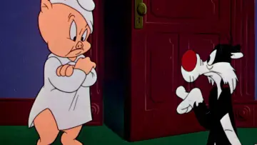 Zasłona do filmu "Przestraszyć kota" #667193
