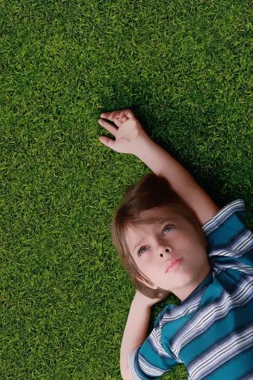 Plakat do filmu "Boyhood" #210792