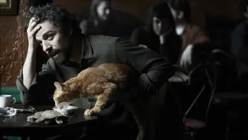 Zasłona do filmu "Co jest grane, Davis?" #232826
