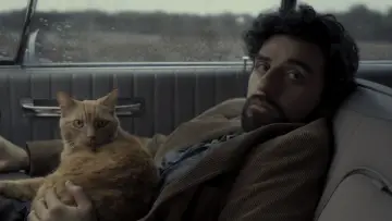 Zasłona do filmu "Co jest grane, Davis?" #881688