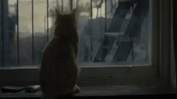 Zasłona do filmu "Co jest grane, Davis?" #881692