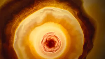 Zasłona do filmu "Voyage of Time: Life