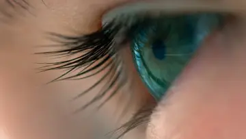 Zasłona do filmu "Voyage of Time: Life