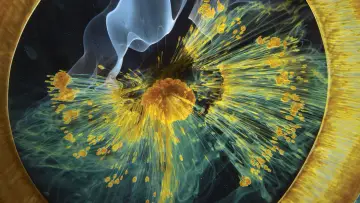Zasłona do filmu "Voyage of Time: Life