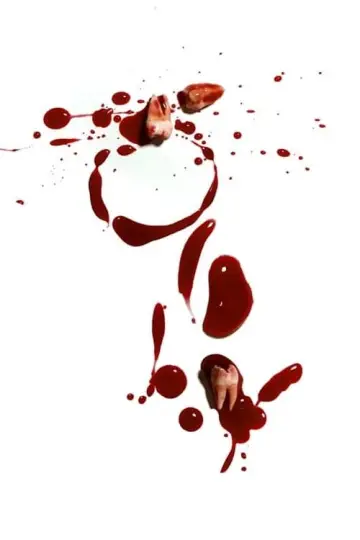Plakat do filmu "Oldboy. Zemsta jest cierpliwa" #98960