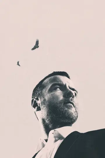 Plakat do filmu "Ray Donovan" #422346