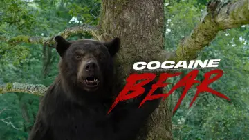 Zasłona do filmu "Kokainowy miś" #302301
