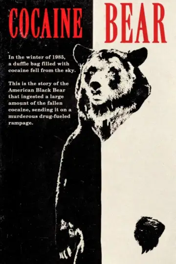 Plakat do filmu "Kokainowy miś" #302359