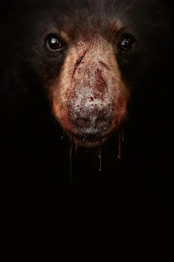 Plakat do filmu "Kokainowy miś" #718961