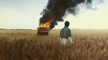 Zasłona do filmu "Lekcja gry na pianinie" #786728