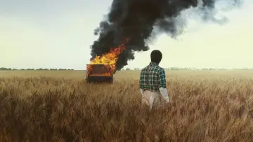 Zasłona do filmu "Lekcja gry na pianinie" #786730