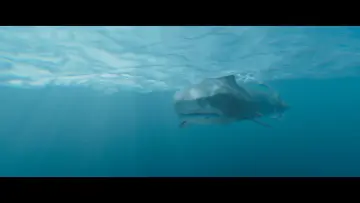 Zasłona do filmu "Coś w wodzie" #453765