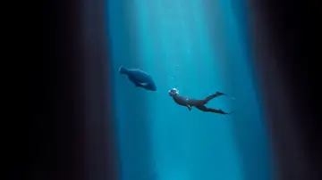Zasłona do filmu "Blueback" #401987