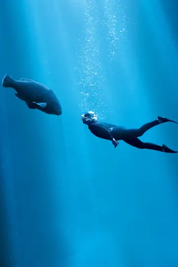 Plakat do filmu "Blueback" #402003