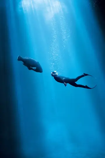 Plakat do filmu "Blueback" #402004