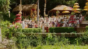 Zasłona do filmu "Bilet do raju" #690184