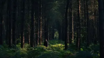 Zasłona do filmu "Żywy czy martwy: Film z serii „Na noże”" #522102