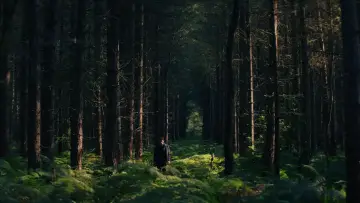 Zasłona do filmu "Żywy czy martwy: Film z serii „Na noże”" #522114